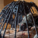 Rat torture